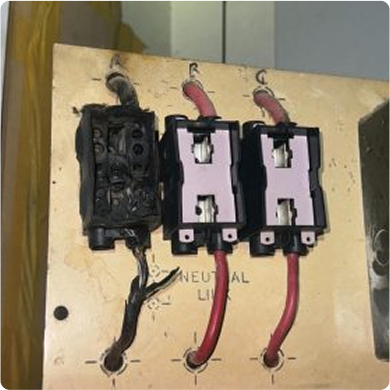 Image (4)